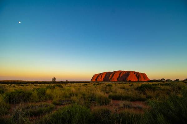 Wüste in Australien. Ein Berg in der Ferne. Grünes Gras überzieht den Boden.
